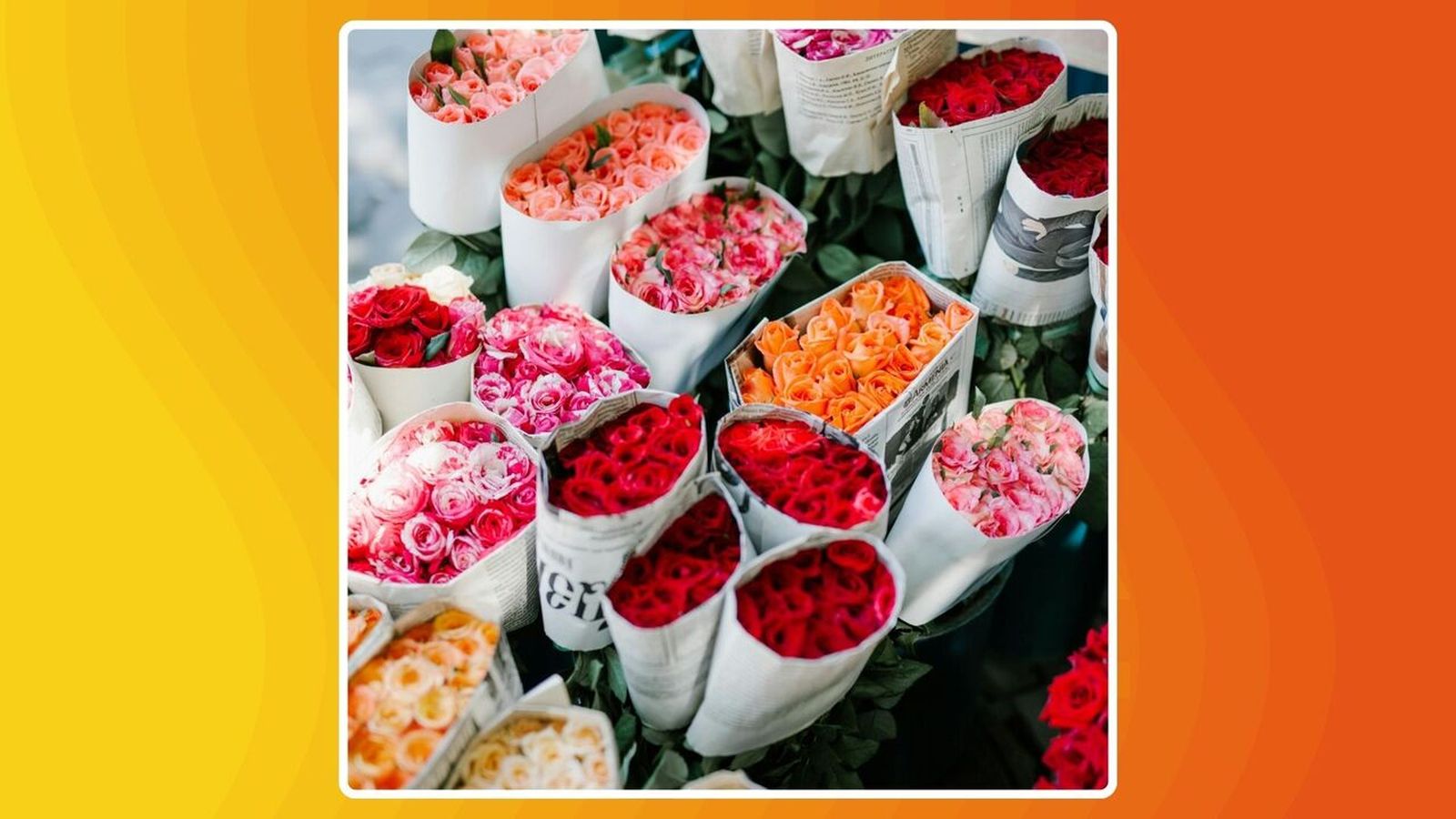 31.10.2025 | Campanya de Tots Sants en la venta de les flors