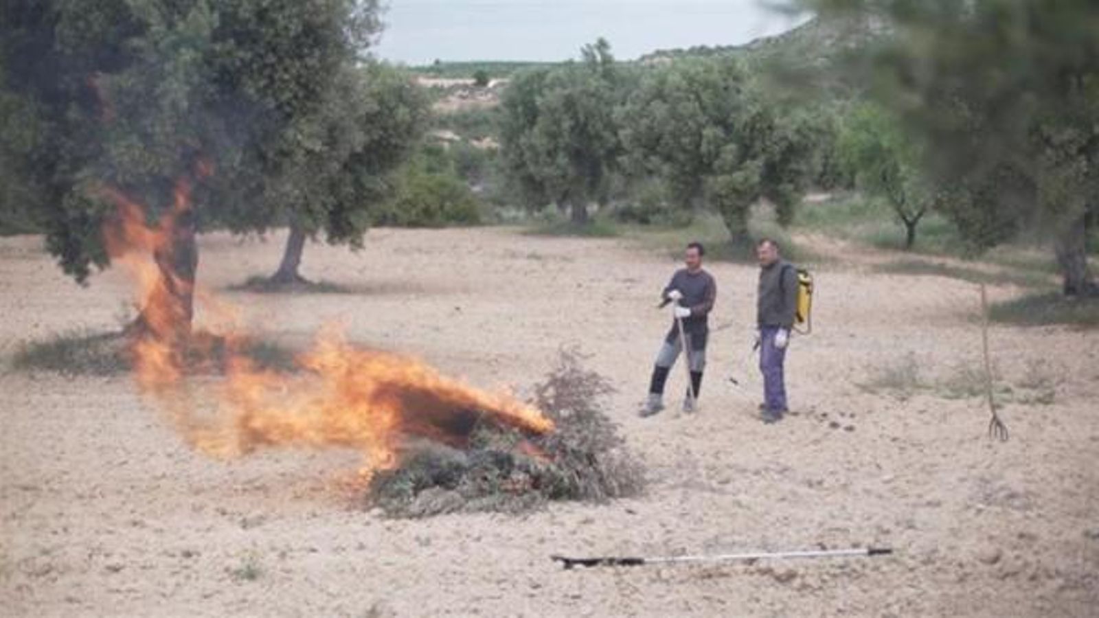 Les activitats relacionades amb la crema de restes agrícoles a la Comunitat Valenciana es prohibeixen a partir de dissabte