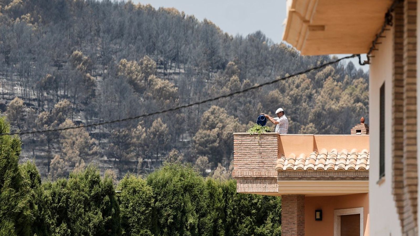 Un veí rega plantes a Artana, amb un paisatge cremat de fons