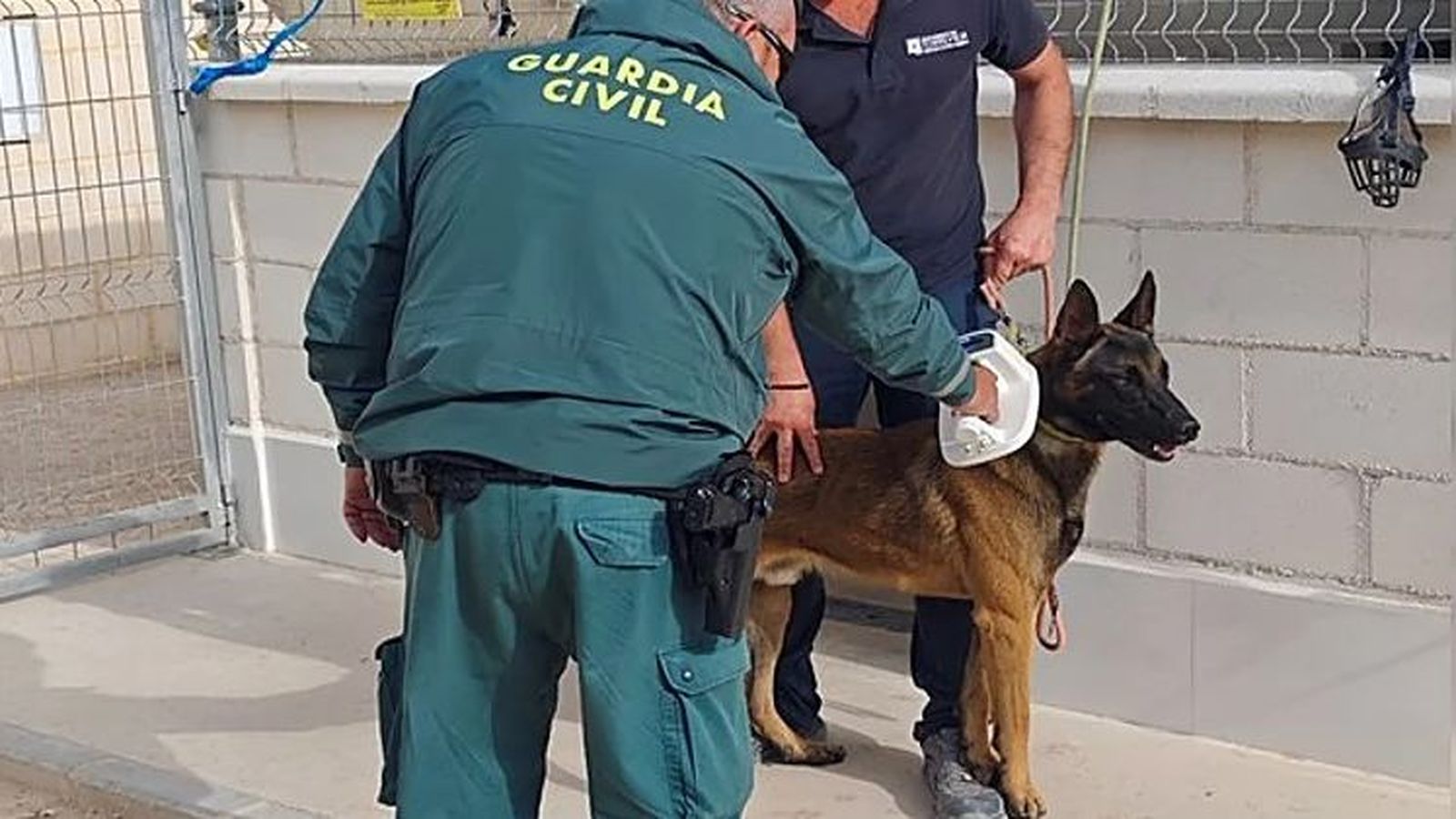 L'agent del Seprona amb el gos maltractat a Torrevieja
