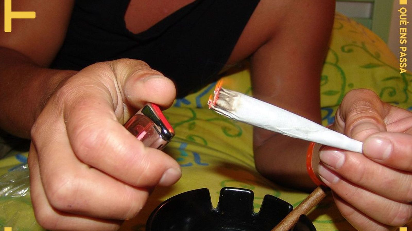 21.12.2018 | Marihuana: les amenaces d’una nova indústria | Experiències