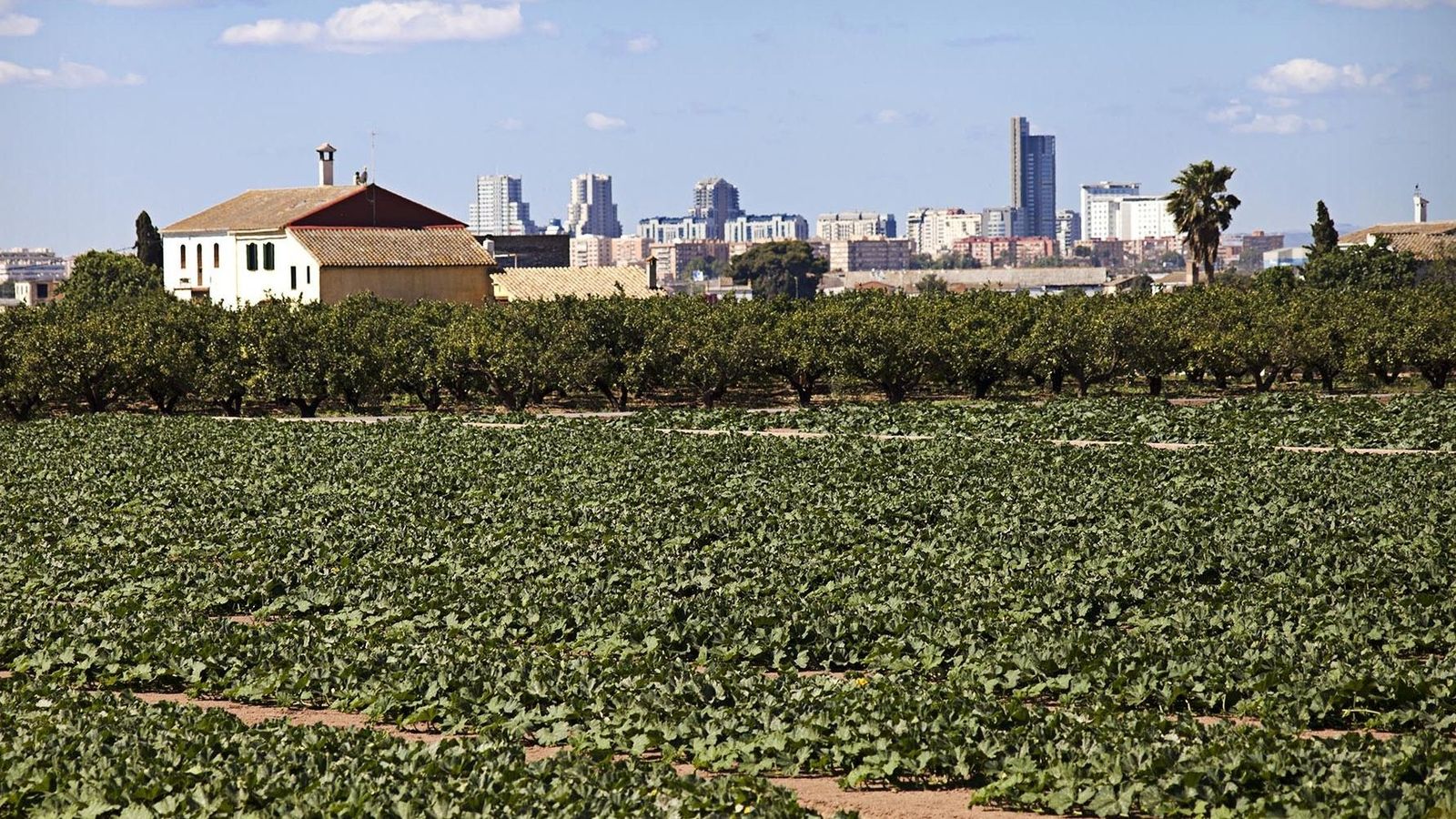 Una alquería situada en l'horta de València, en una imatge d'arxiu