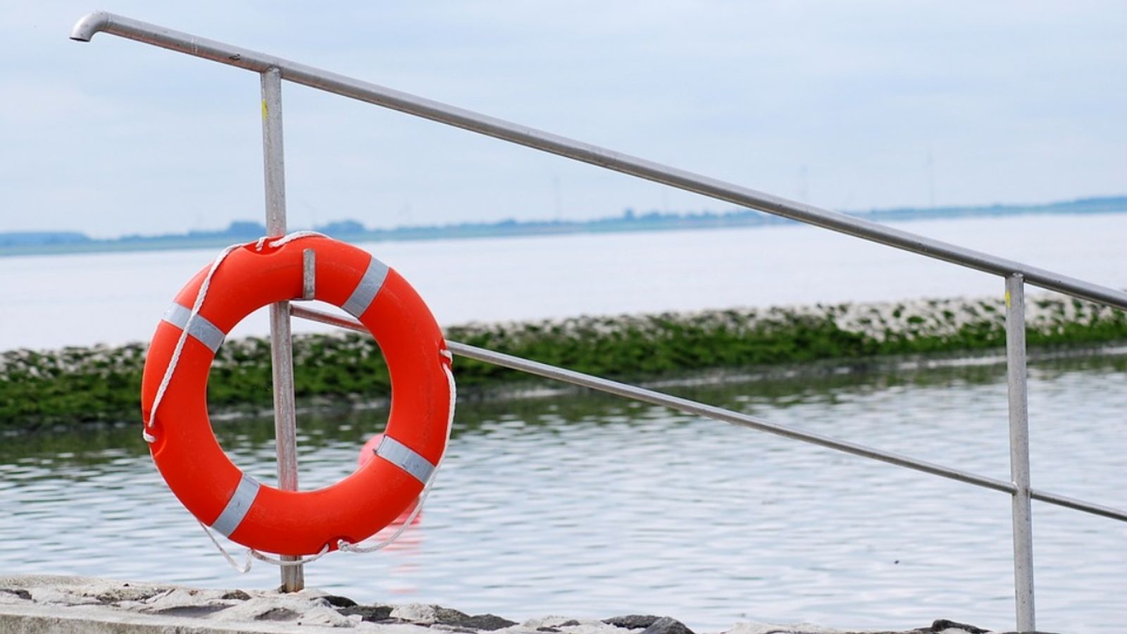 222 ofegaments des de principi d\'any, 36 en la primera quinzena d\'agost