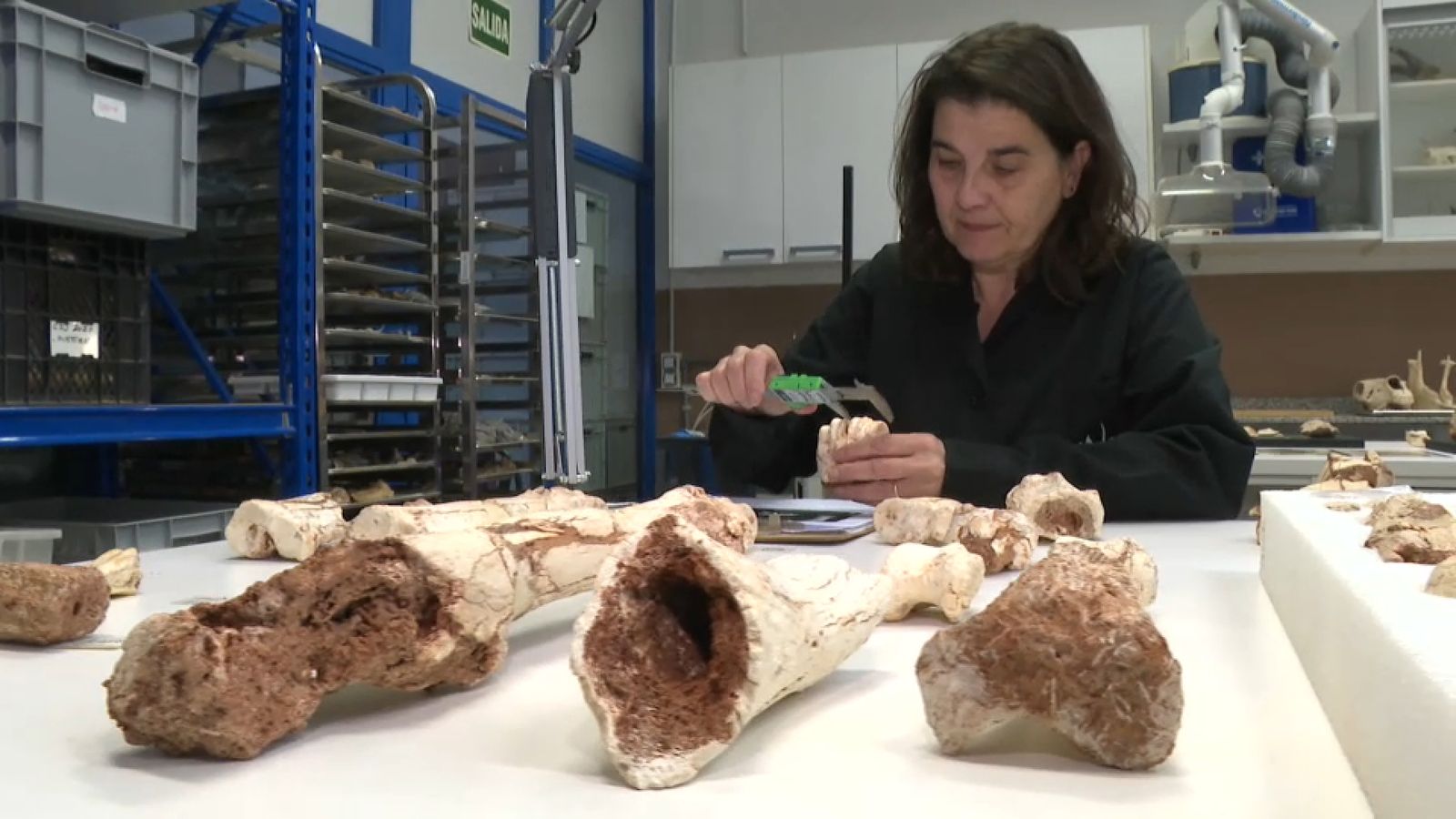 El 2024 està previst reprendre les excavacions al jaciment de l'alt de Las Picarazas