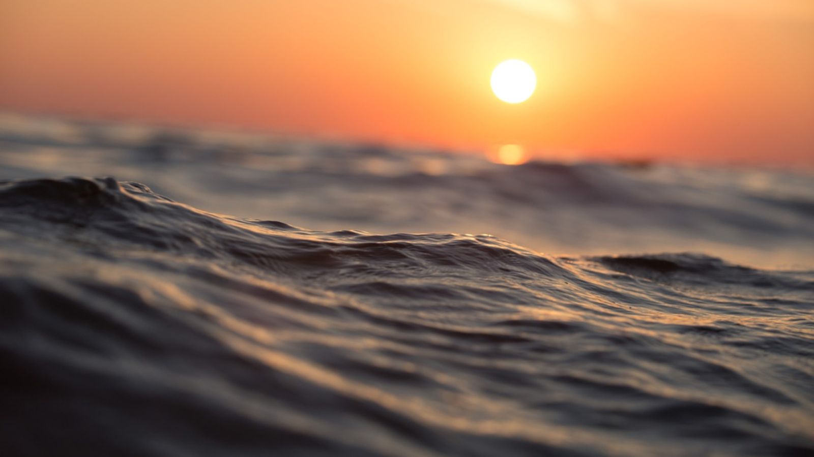 21.09.2019 | Els oceans