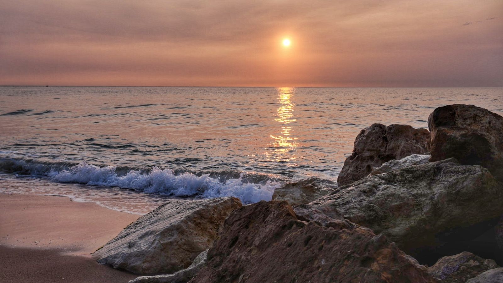 JULIO NAVARRO, Tavernes de la Valldigna, la Safor