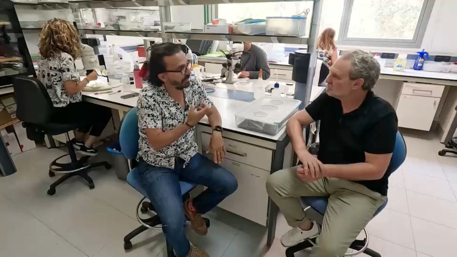 A l'IVIA investiguen les causes de l'enverdiment' dels cítrics, la greu malaltia sense cura que afecta altres països