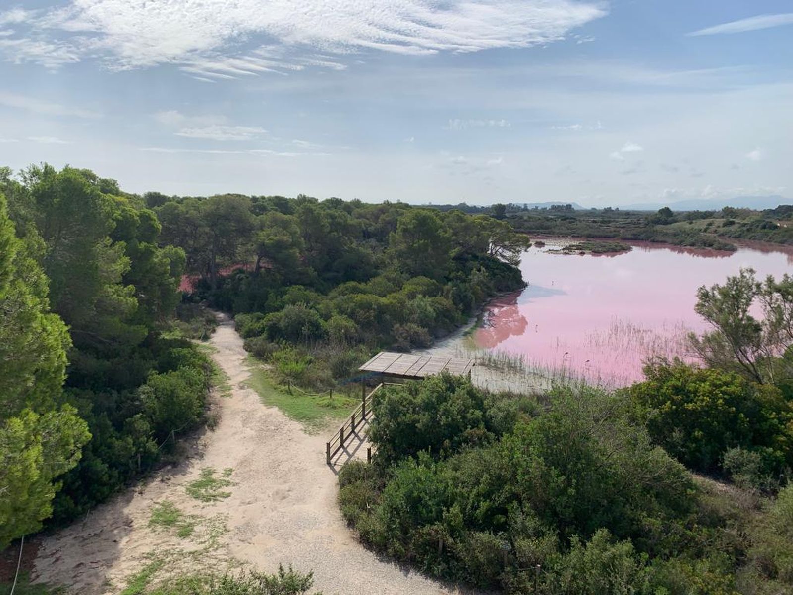 Imatge aèria del Racó de l'Olla, al parc natural de l'Albufera, tenyit de rosa