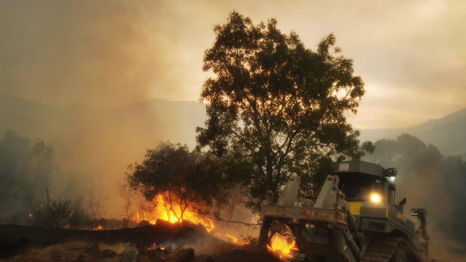 Incendi a Navalacruz (Ávila)