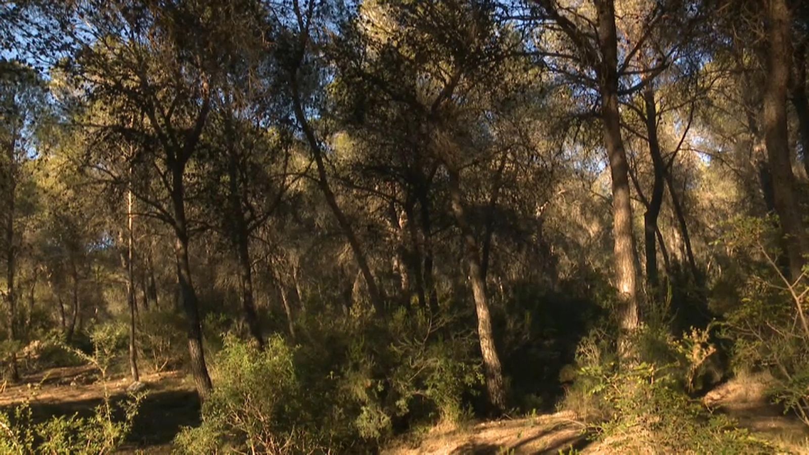 Més de mil persones desocupades treballaran en tasques de conservació de les muntanyes