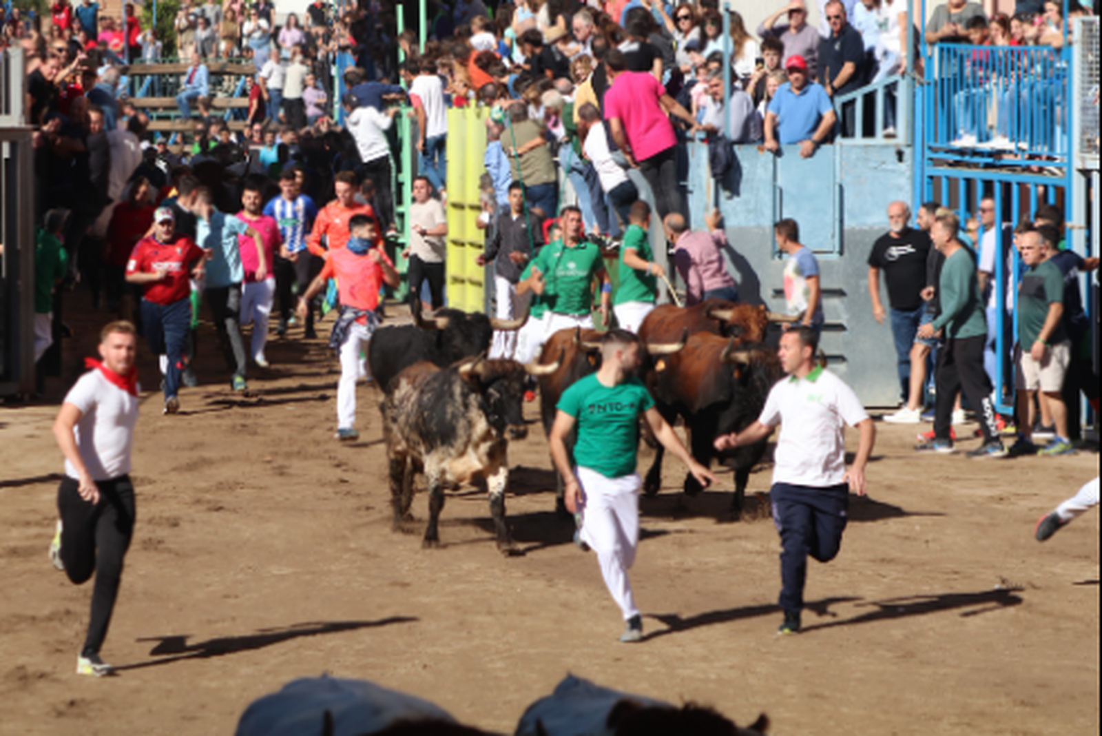 Els 'Encierros de Onda' (foto Ajuntament Onda)