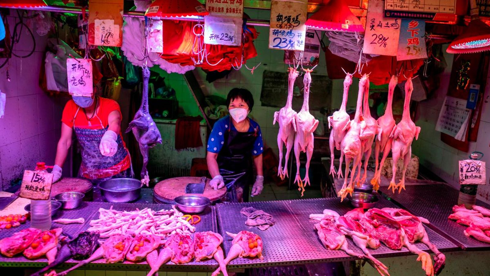 El mercat de Xihua, a la regió xinesa de Guangdong, on es venen animals vius a pesar de la prohibició del govern