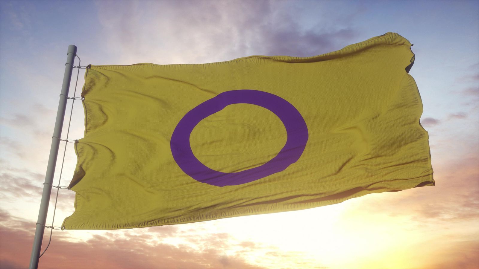 Imatge d'arxiu d'una bandera amb el símbol de la intersexualitat Imatge d'arxiu d'una bandera amb el símbol de la intersexualitat