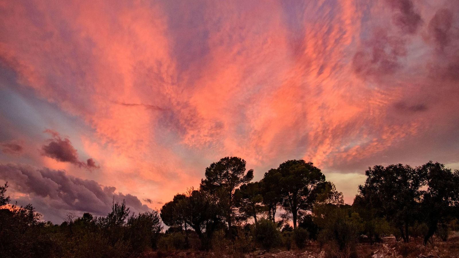 M.NIEVES SÁNCHEZ,  l'Olleria, la Vall d'Albaida