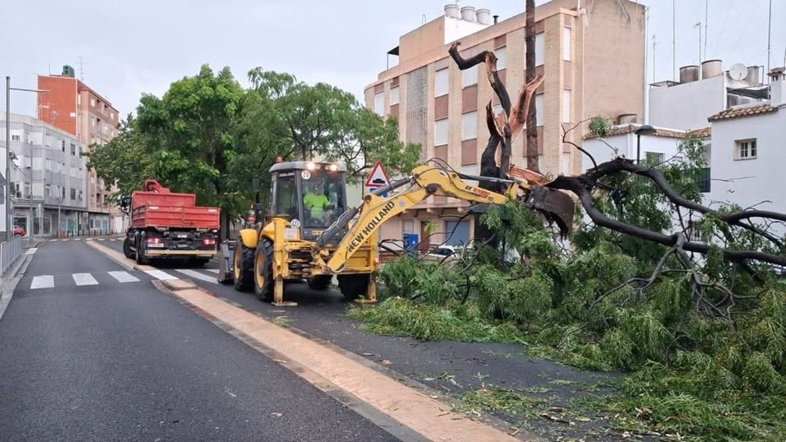 Operaris municipals retiren un arbre caigut a Sueca, este dijous