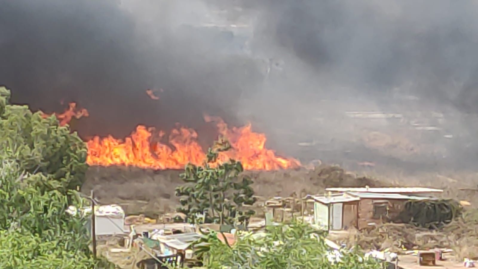 Foc declarat en les proximitats del Cementeri de Sant Josep de Castelló de la Plana