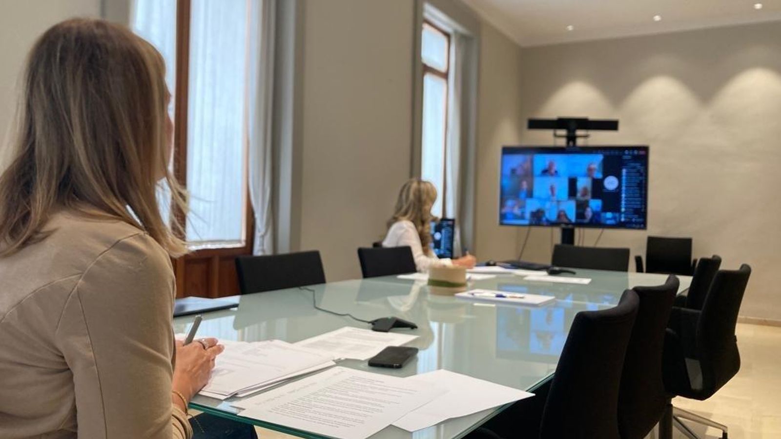 El consell d'administració de la Societat Valenciana de les ITV SA (Sitval)