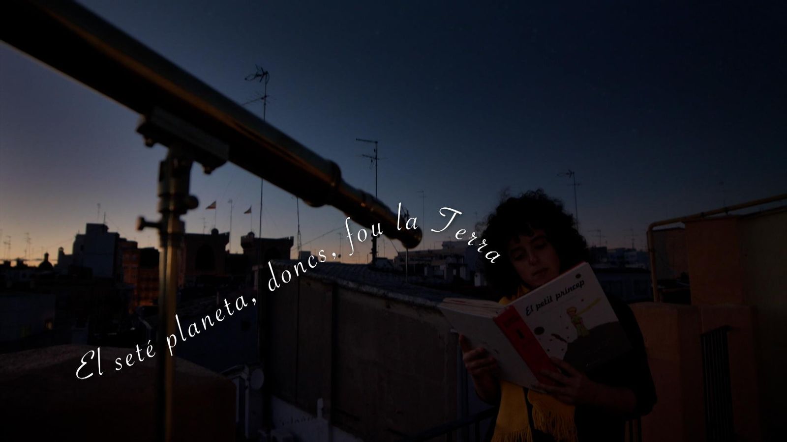 El príncep dels números