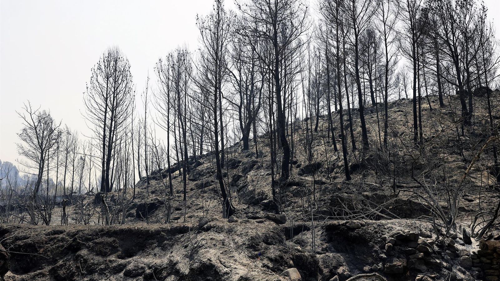 Així ha quedat el terreny afectat per l'incendi declarat a Assuèvar el passat dissabte