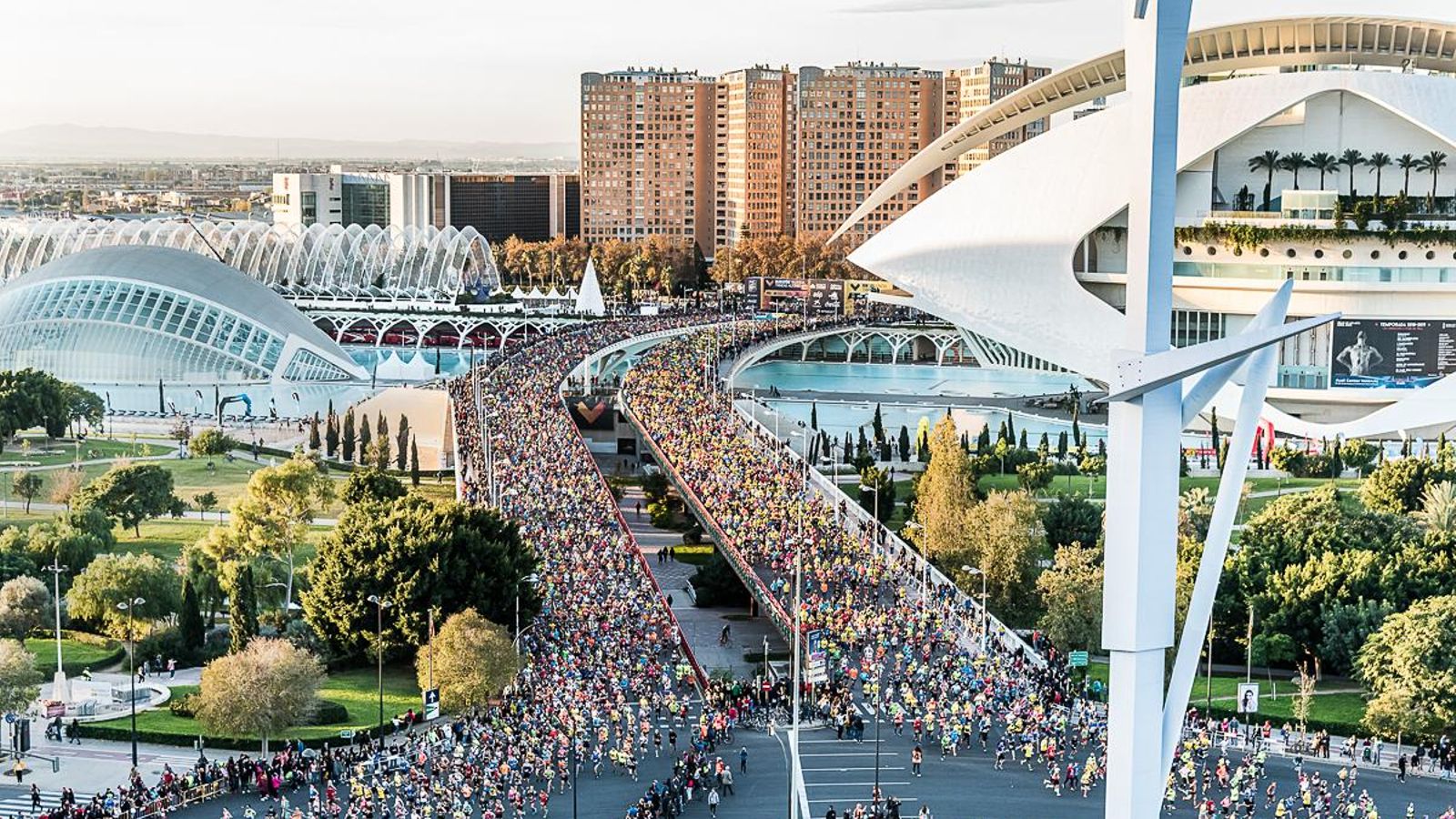 Eixida d’enguany de la Marató i la 10K de València