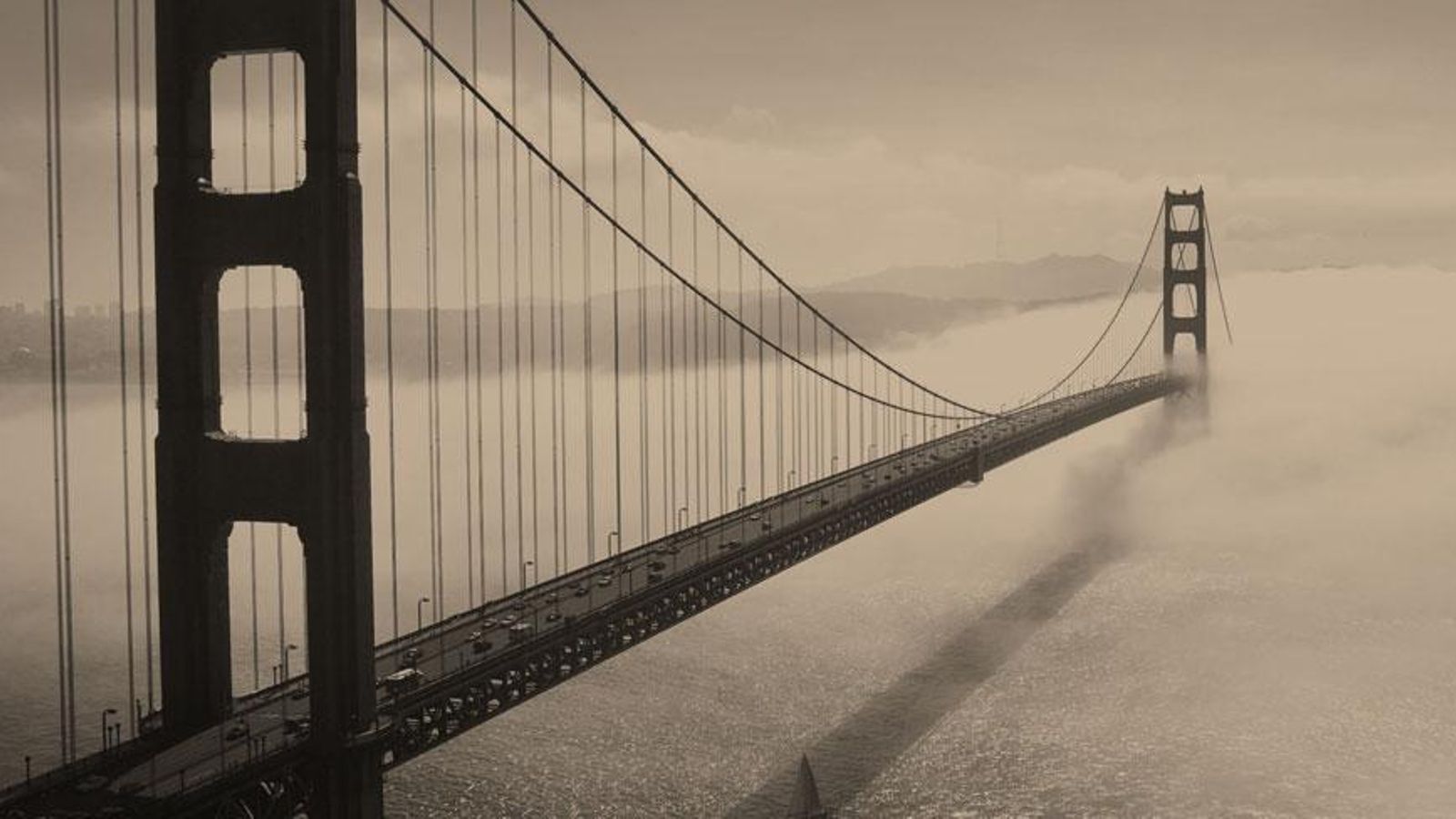 El concepte de bioètica de Potter parla d'establir ponts entre disciplines