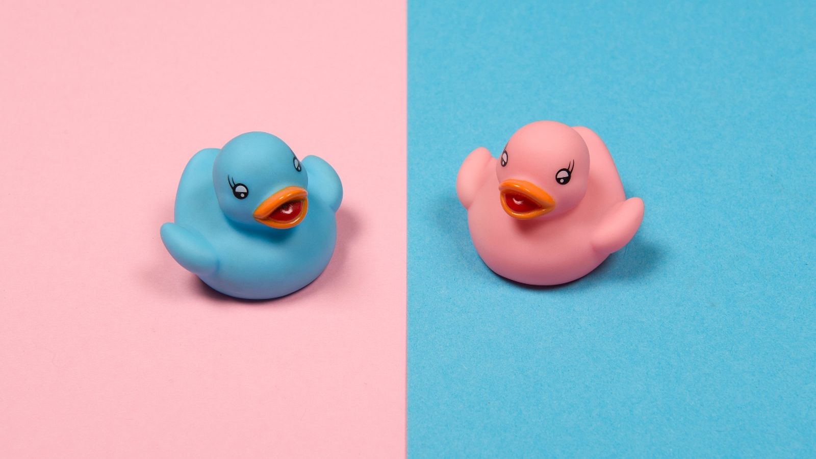 Dos ànecs de goma de color blau i rosa