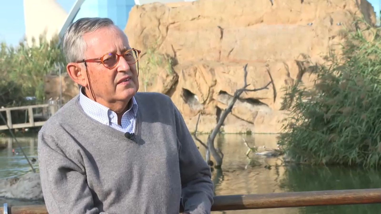 Delibes, aques dilluns