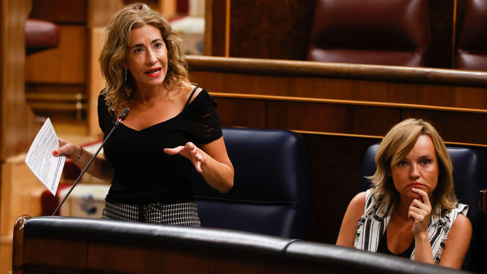 La ministra de Transports, a l'esquerra en peu, durant la seua intervenció en el Congrés aquest dimecres