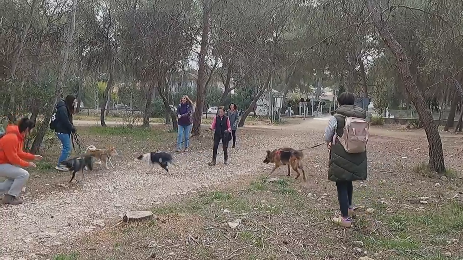 13.04.2025 | Bon estat animal