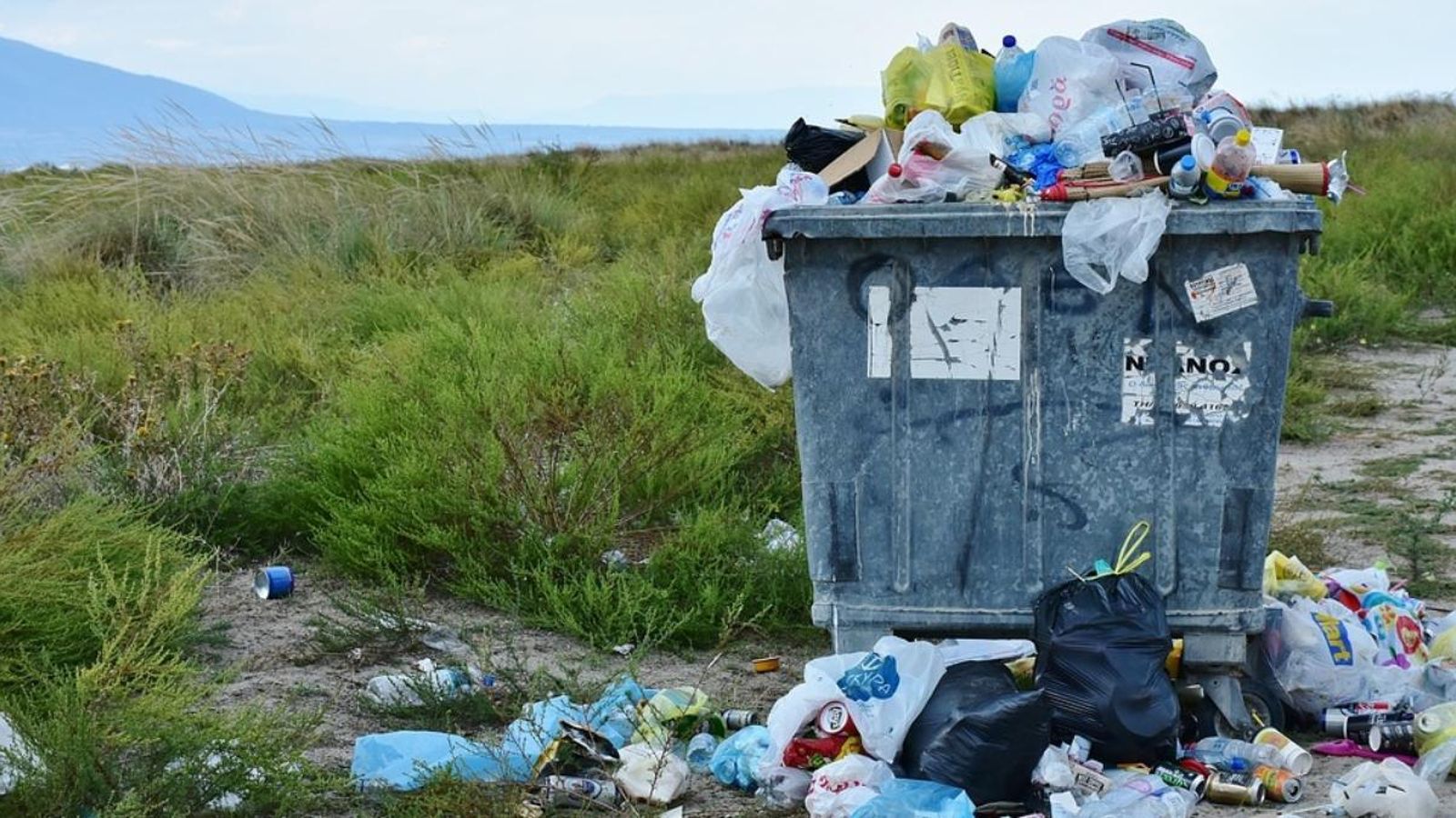 En 2017 es llançaren, en les llars espanyoles, 1.229 milions de quilos d'aliments i begudes