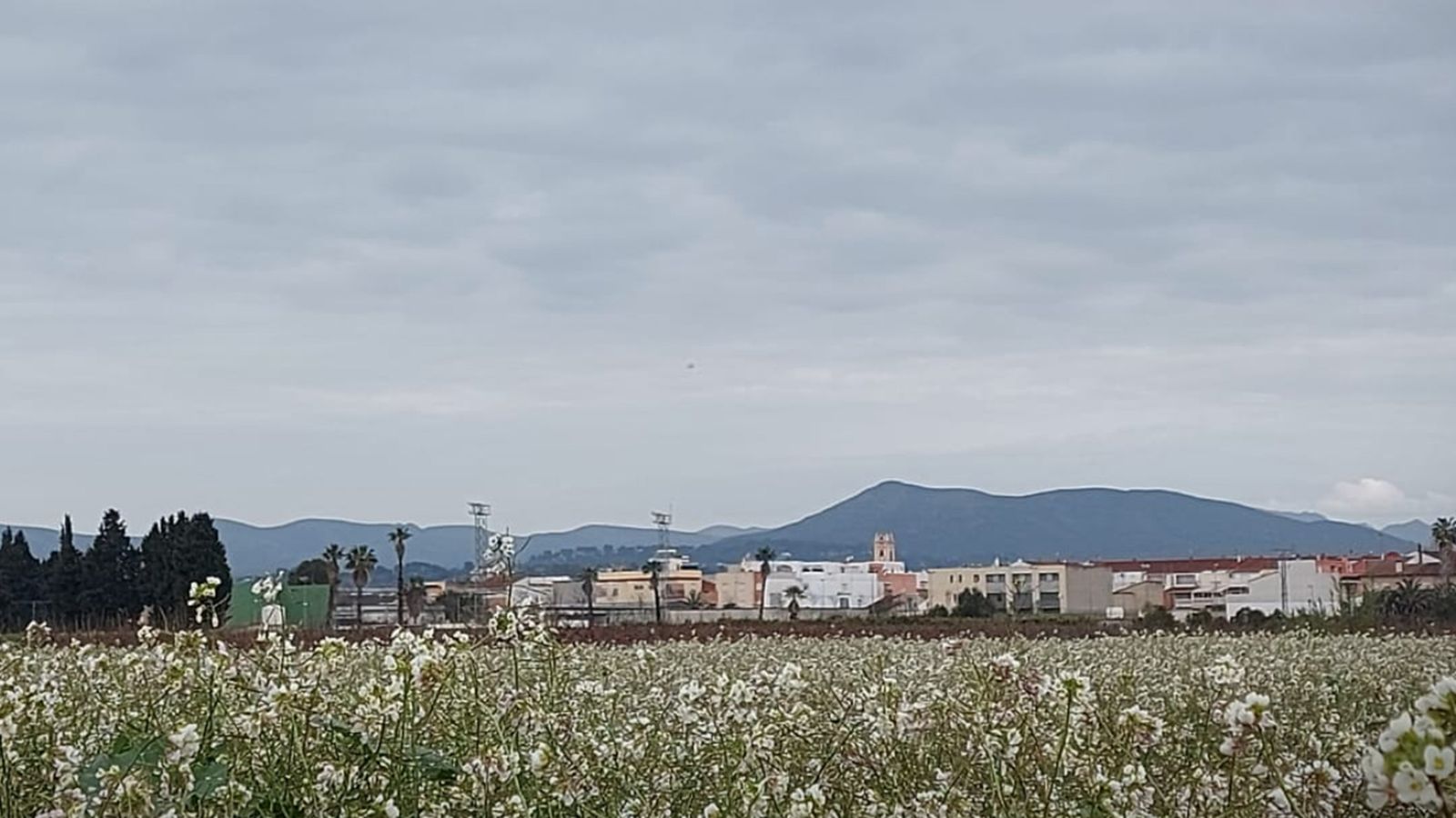 Benimodo, la Ribera Alta
