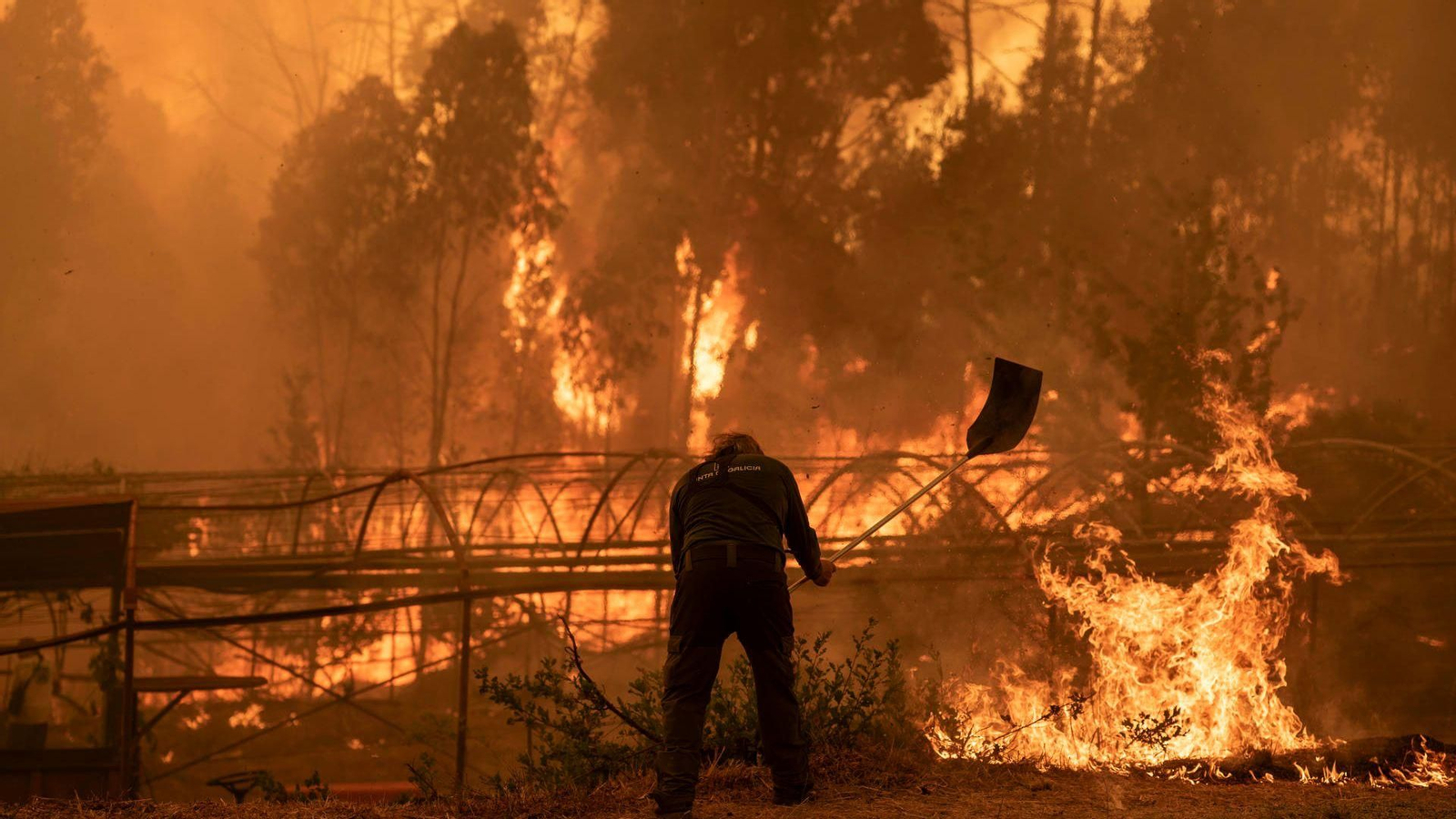 Un guàrdia forestal intenta apagar les flames a Carballeda de Avia (Ourense)