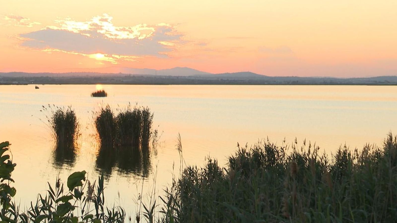 Reunió garantir recursos hídrics Albufera