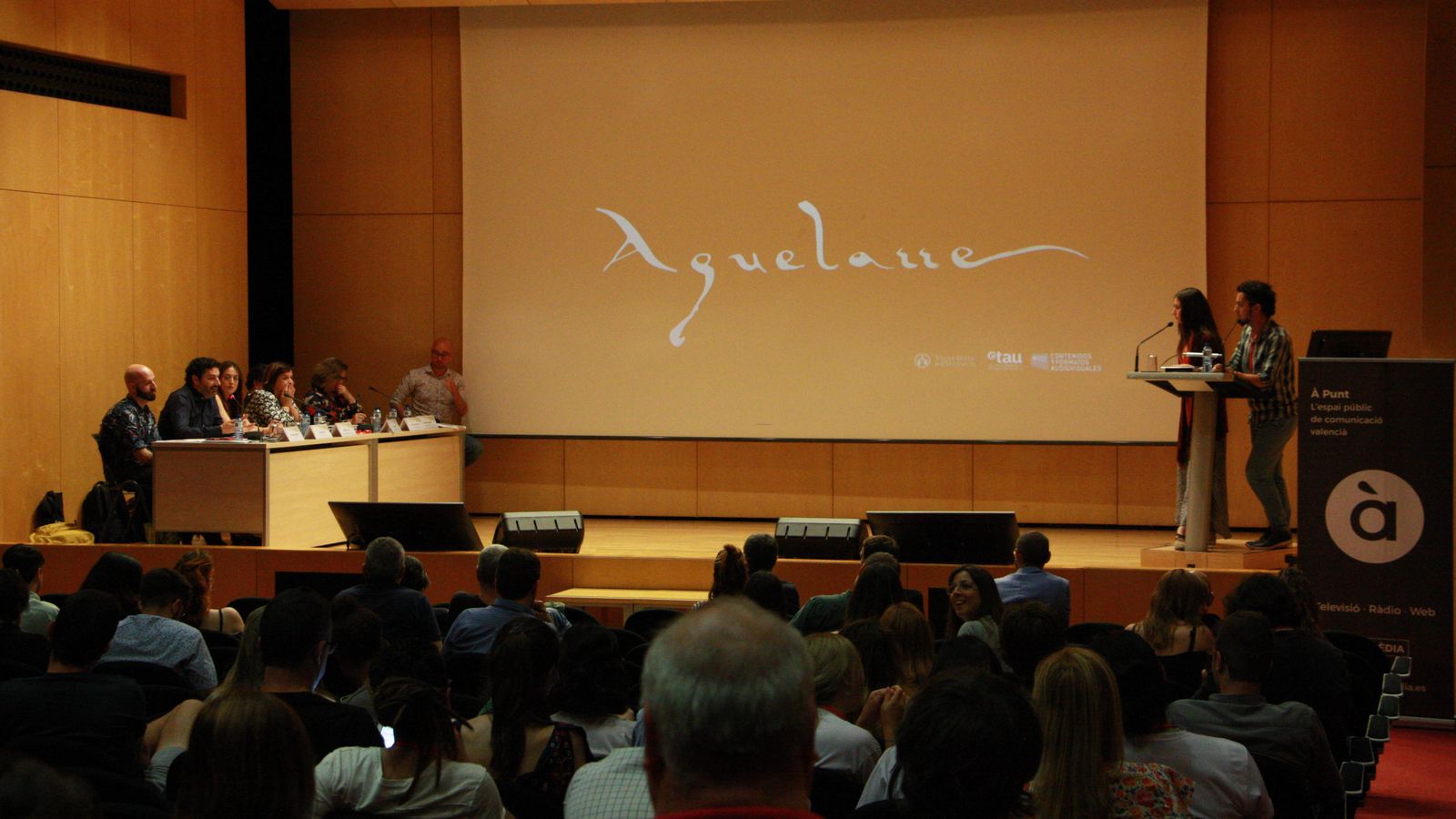 Pitching audiovisual celebrat a Gandia en l'any 2019