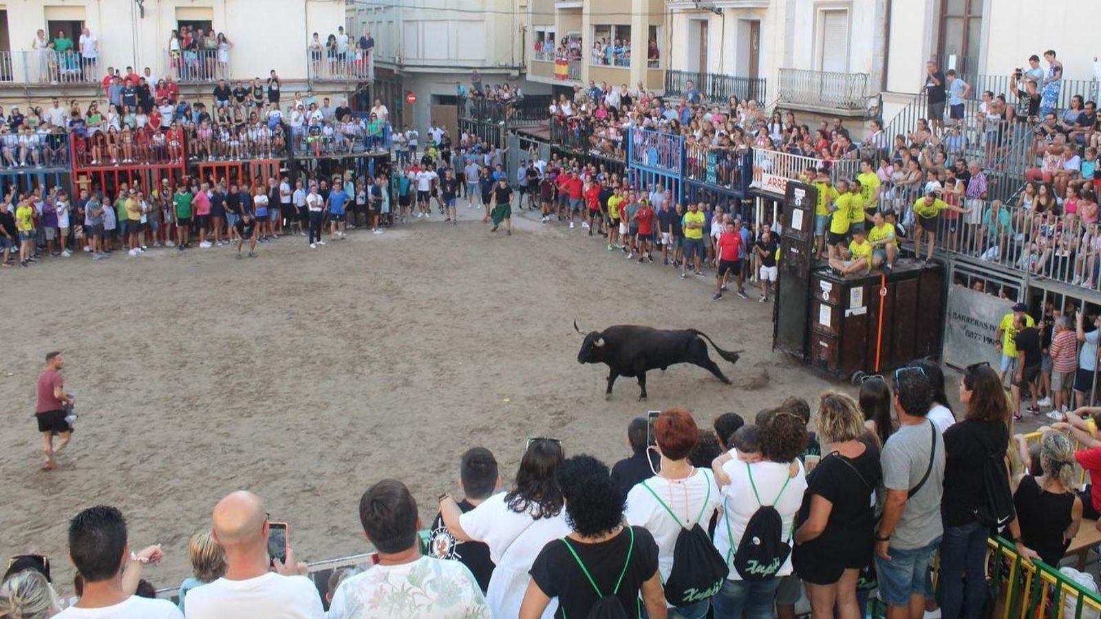 Bous a les festes de Nules aquest agost