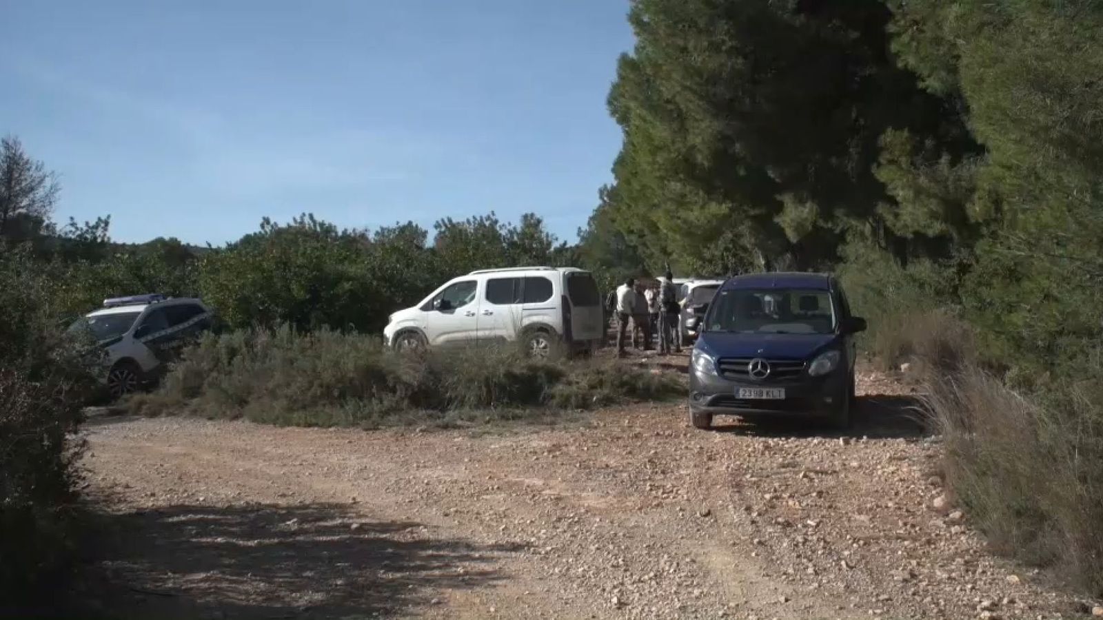 El bou, que es va escapar d'una ramaderia de Vilamarxant, continua en parador desconegut