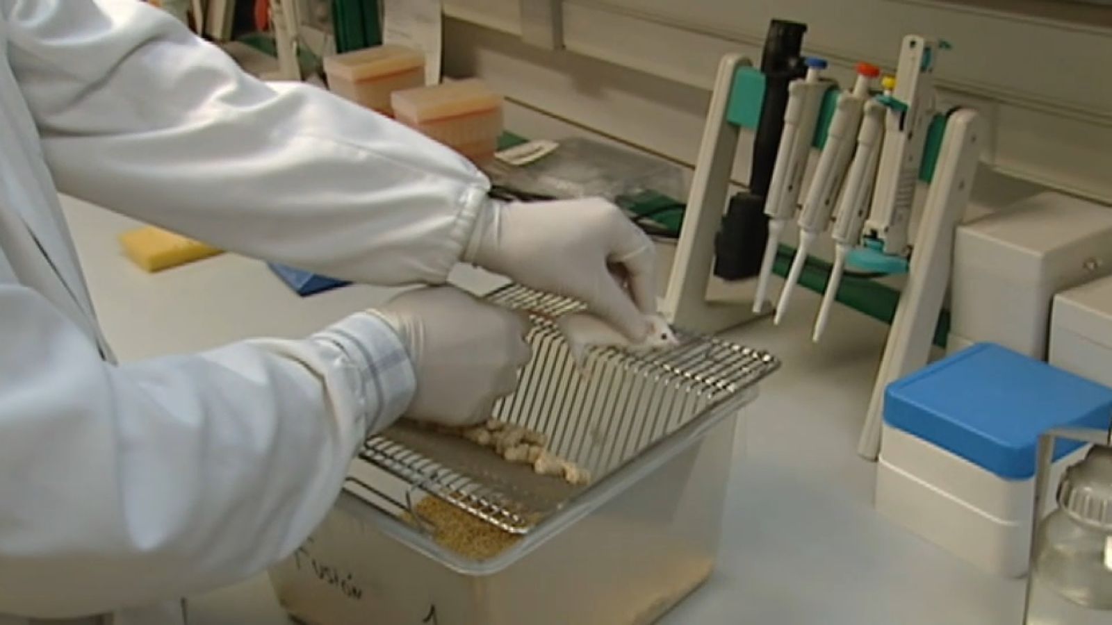 De l'estudi es desprén que la testosterona, que tenen en major mesura els mascles, pot explicar perquè la migranya és més freqüent en les dones