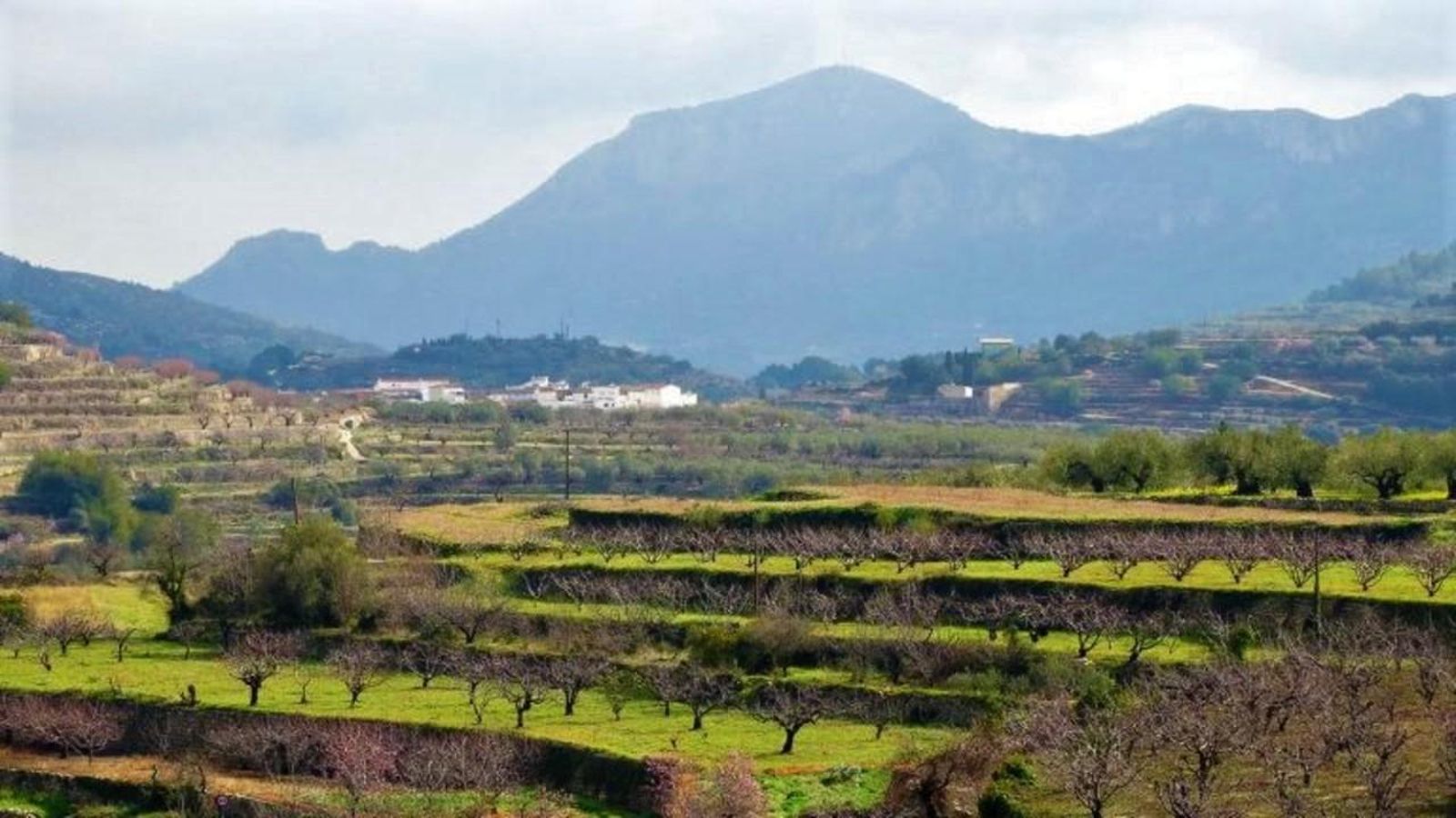 04.09.2020 | Tercera hora