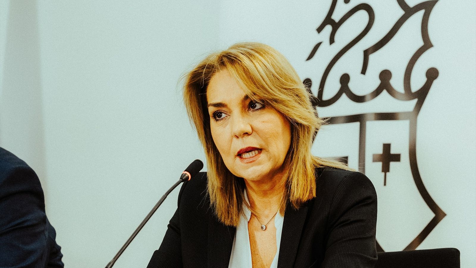 Camarero, en una compareixença posterior al ple del Consell (arxiu)