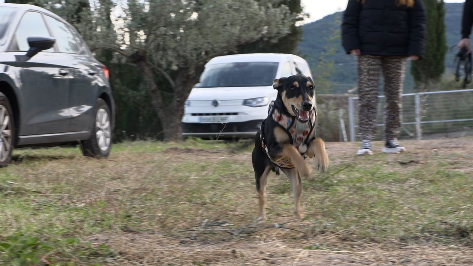 11.04.2026 | Com educar l'excitació