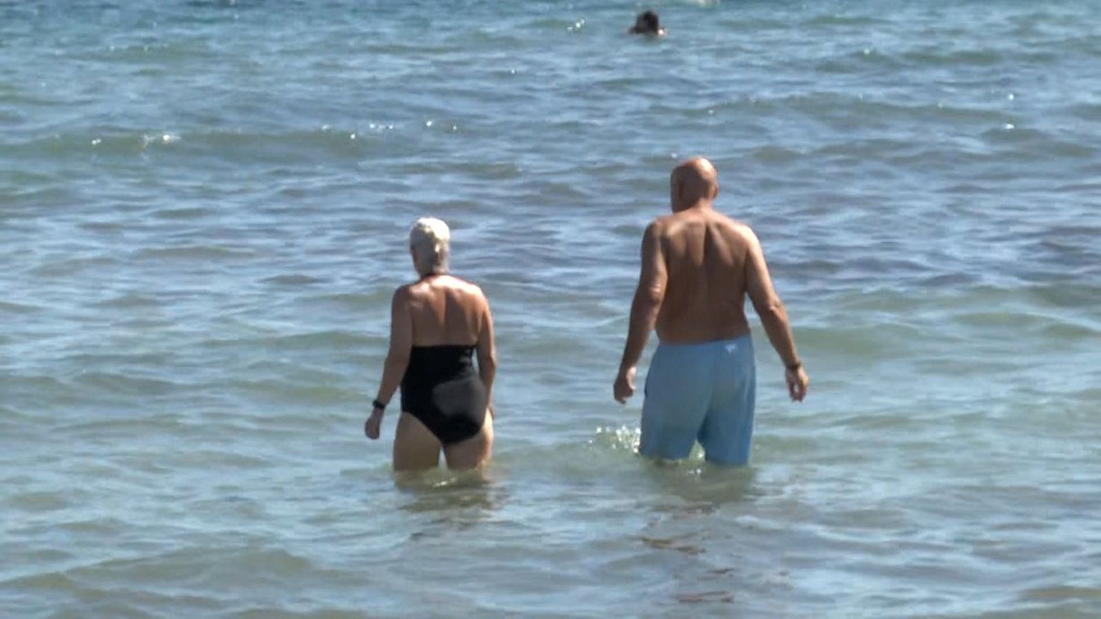 Banyistes a la platja
