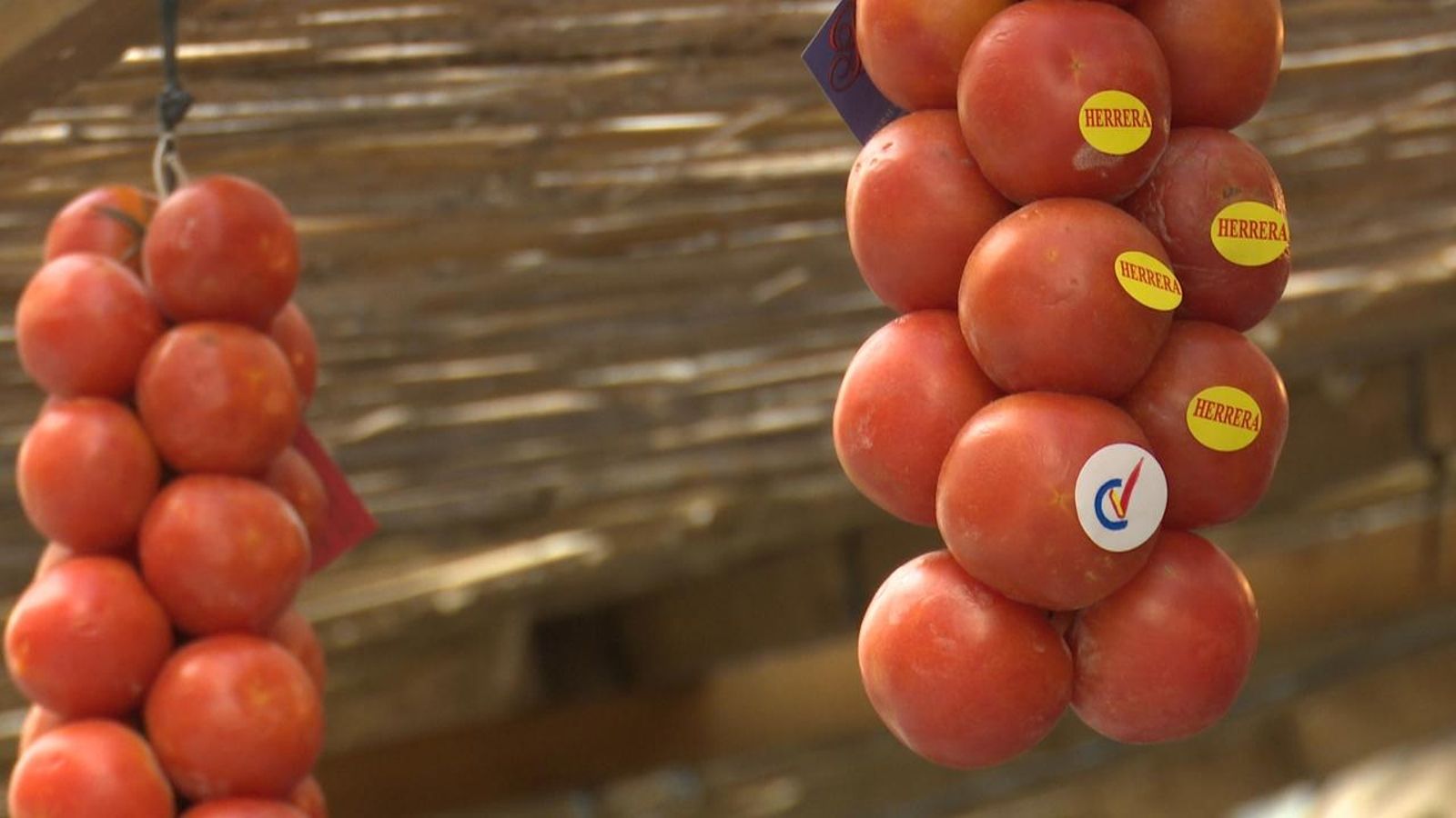 Tomata de penjar d'Alcalà