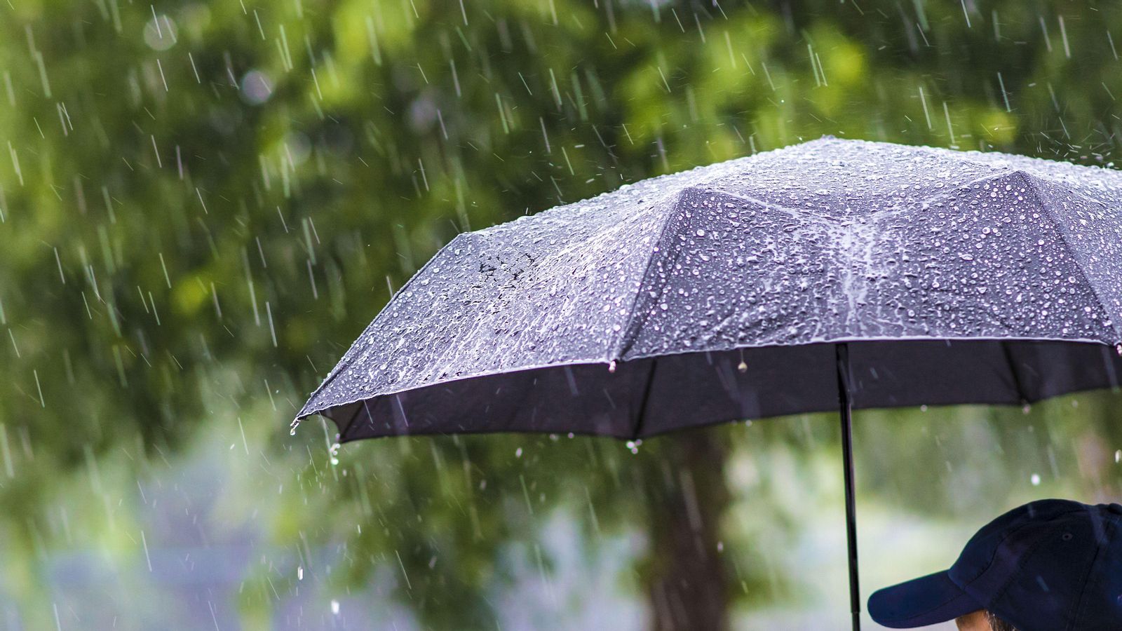 Les primeres jornades de la tardor seran humides