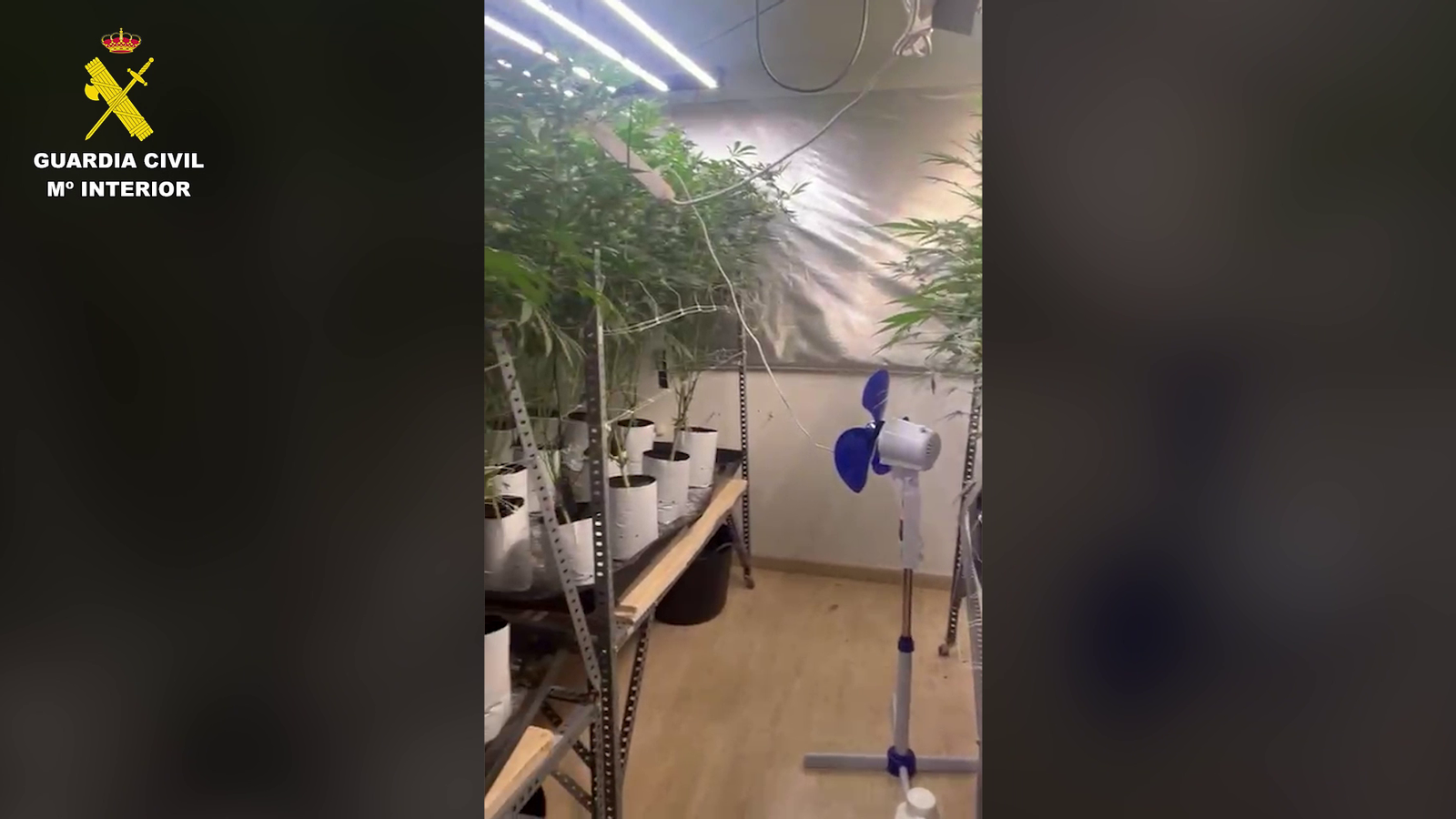 Una de les estances del xalet de la Pobla de Vallbona on es cultivava marihuana