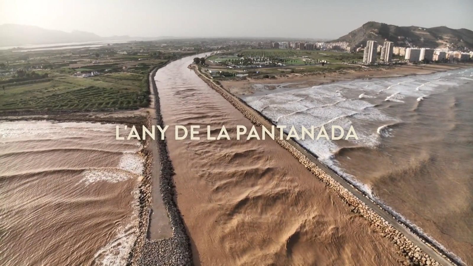 Dejavú | 1982, l'any de la pantanada