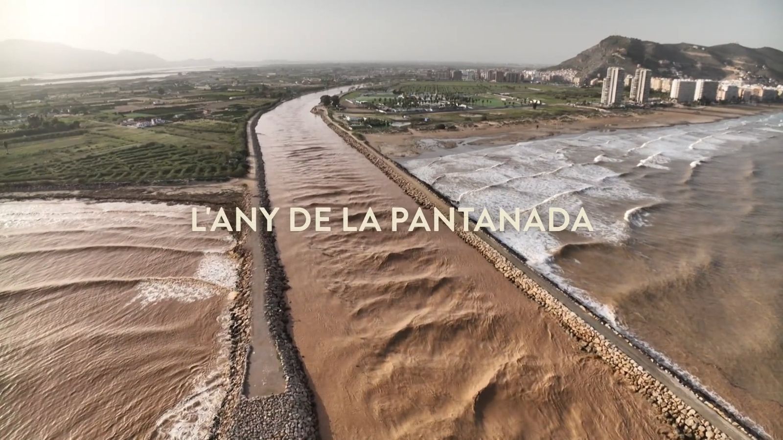 Dejavú | 1982, l'any de la pantanada