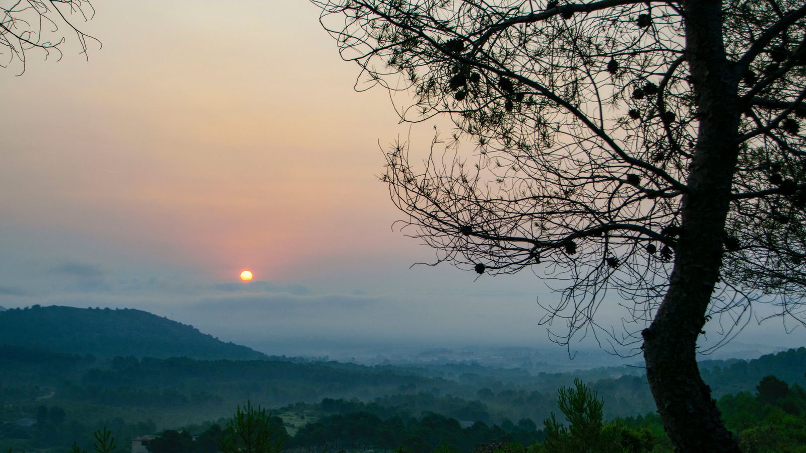 L'OLLERIA, LA VALL D'ALBAIDA