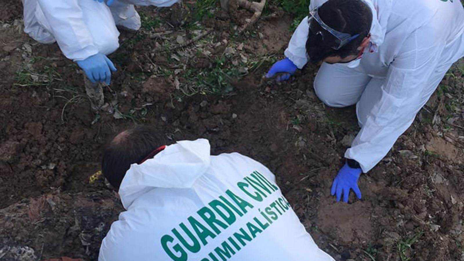 Professionals de la Guàrdia Civil