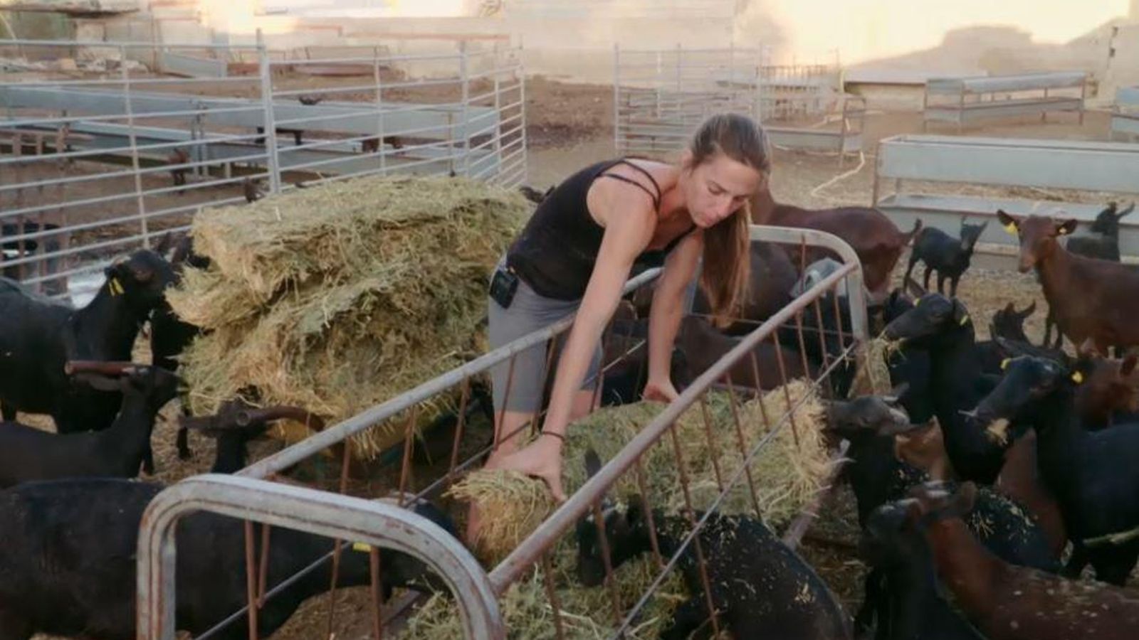 Maria, de vesprada, sols té la companyia de les cabres