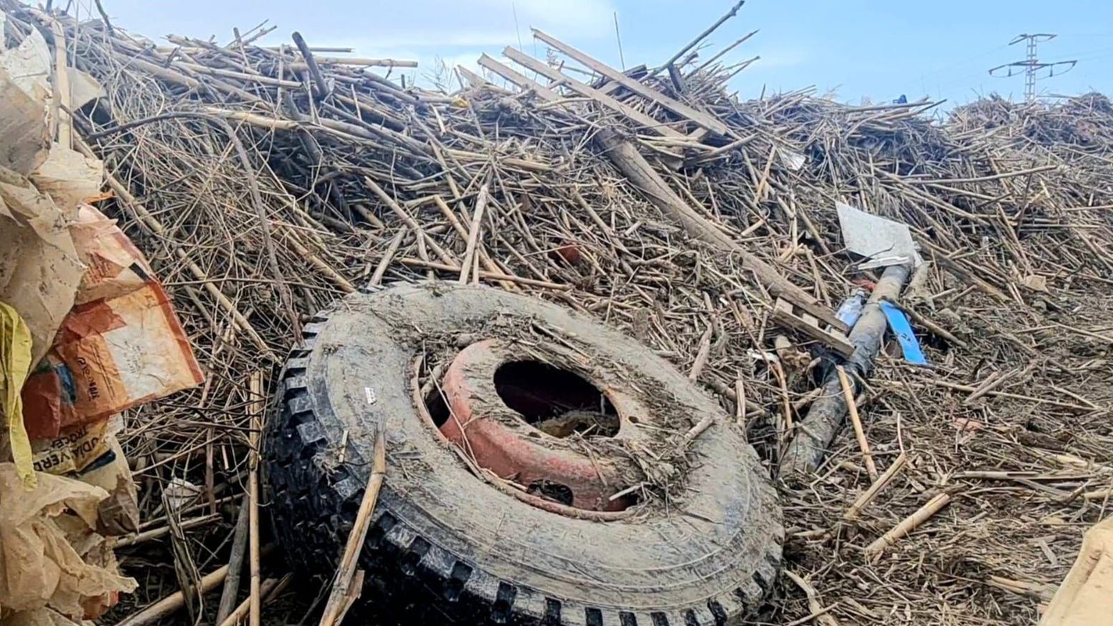 Les restes vegetals i els elements que va arrossegar l'aigua de la riuada d'octubre tenen un gruix de més de 50 centímetres en molts punts de l'Albufera